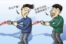 鄢陵企业清欠服务